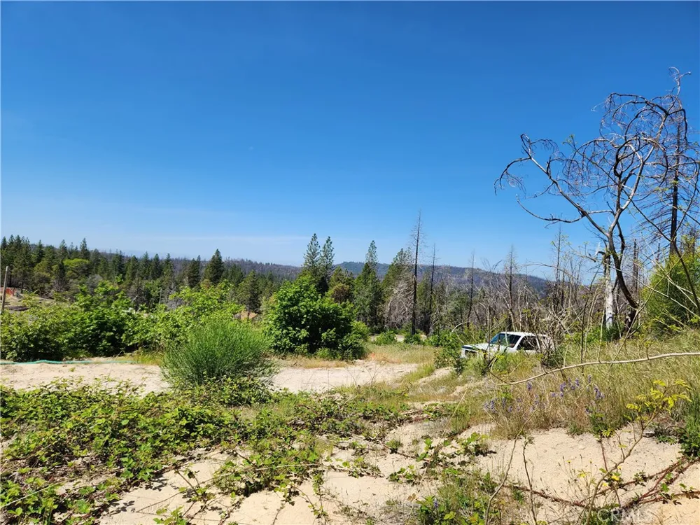 2175 Bald Rock Road Berry Creek, CA 95916