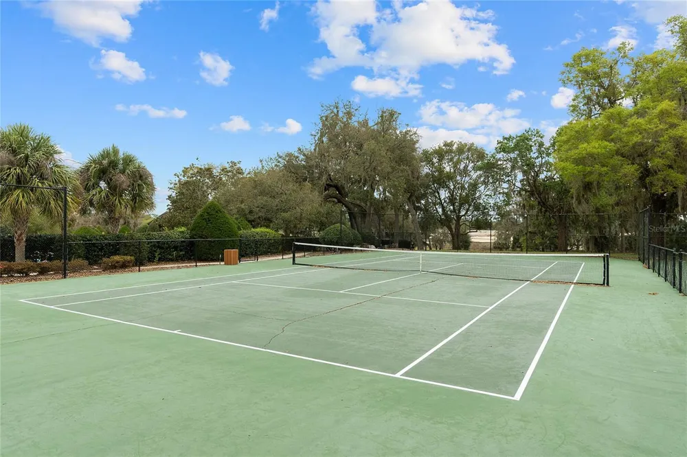 23503 VALDERAMA LANE Sorrento, FL 32776