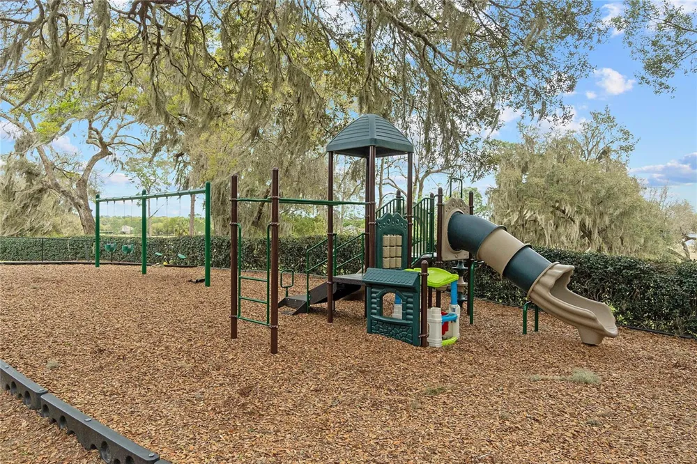 23503 VALDERAMA LANE Sorrento, FL 32776