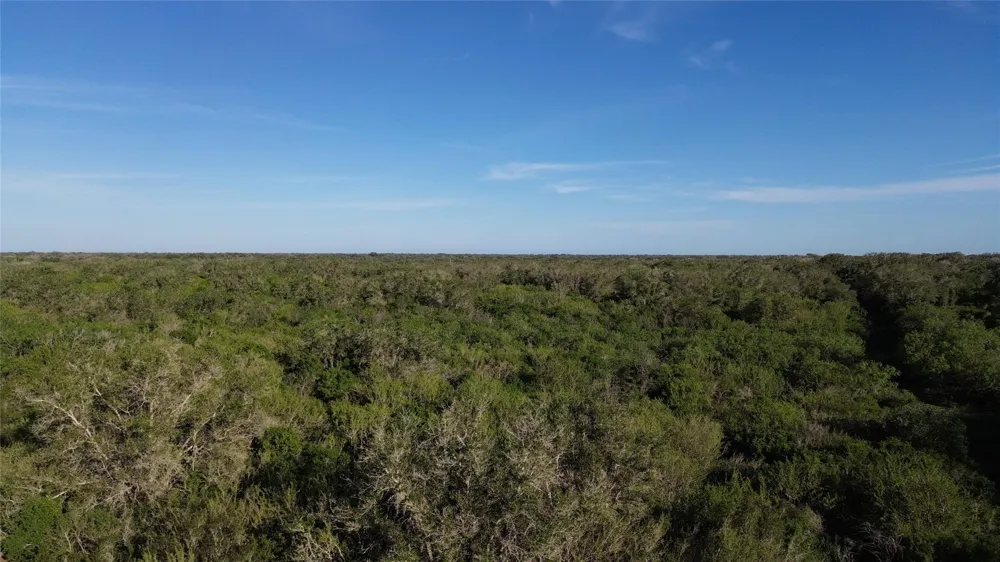 6104 Lucas Road Goliad, TX 77963