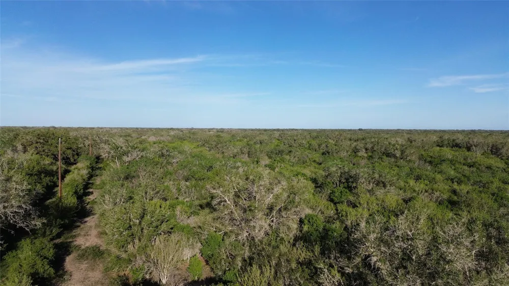6104 Lucas Road Goliad, TX 77963