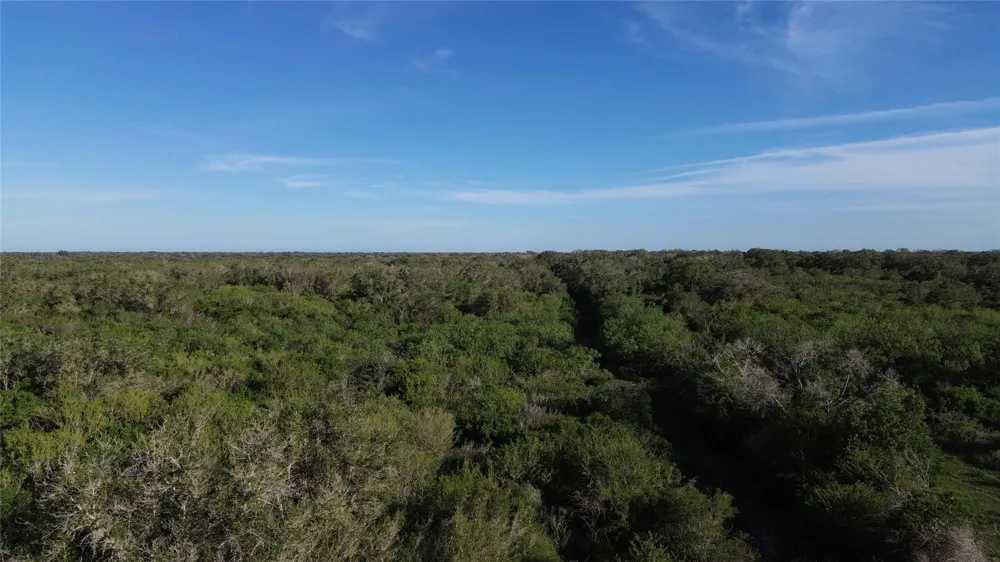 6104 Lucas Road Goliad, TX 77963