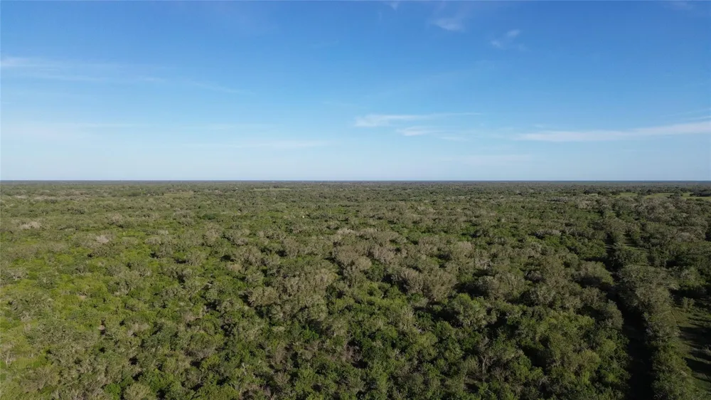6104 Lucas Road Goliad, TX 77963