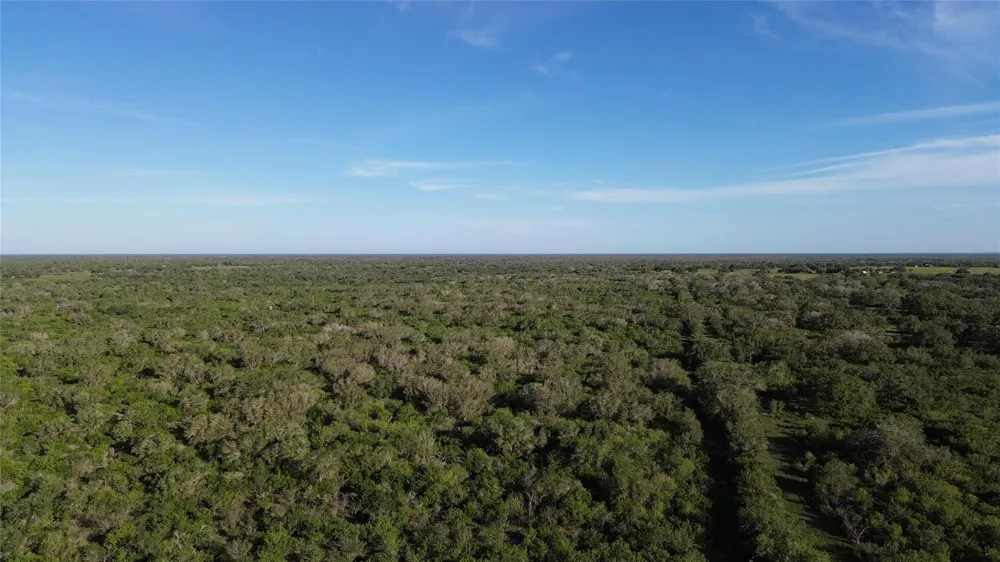 6104 Lucas Road Goliad, TX 77963