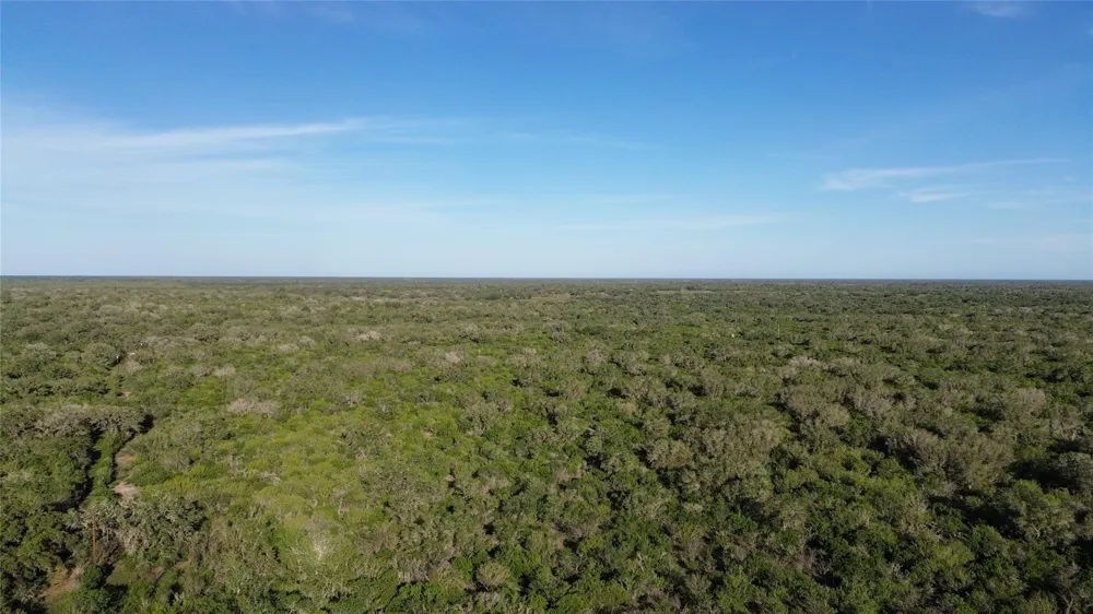 6104 Lucas Road Goliad, TX 77963
