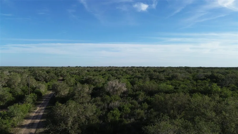 6104 Lucas Road Goliad, TX 77963