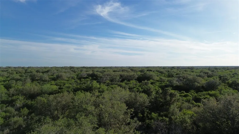 6104 Lucas Road Goliad, TX 77963