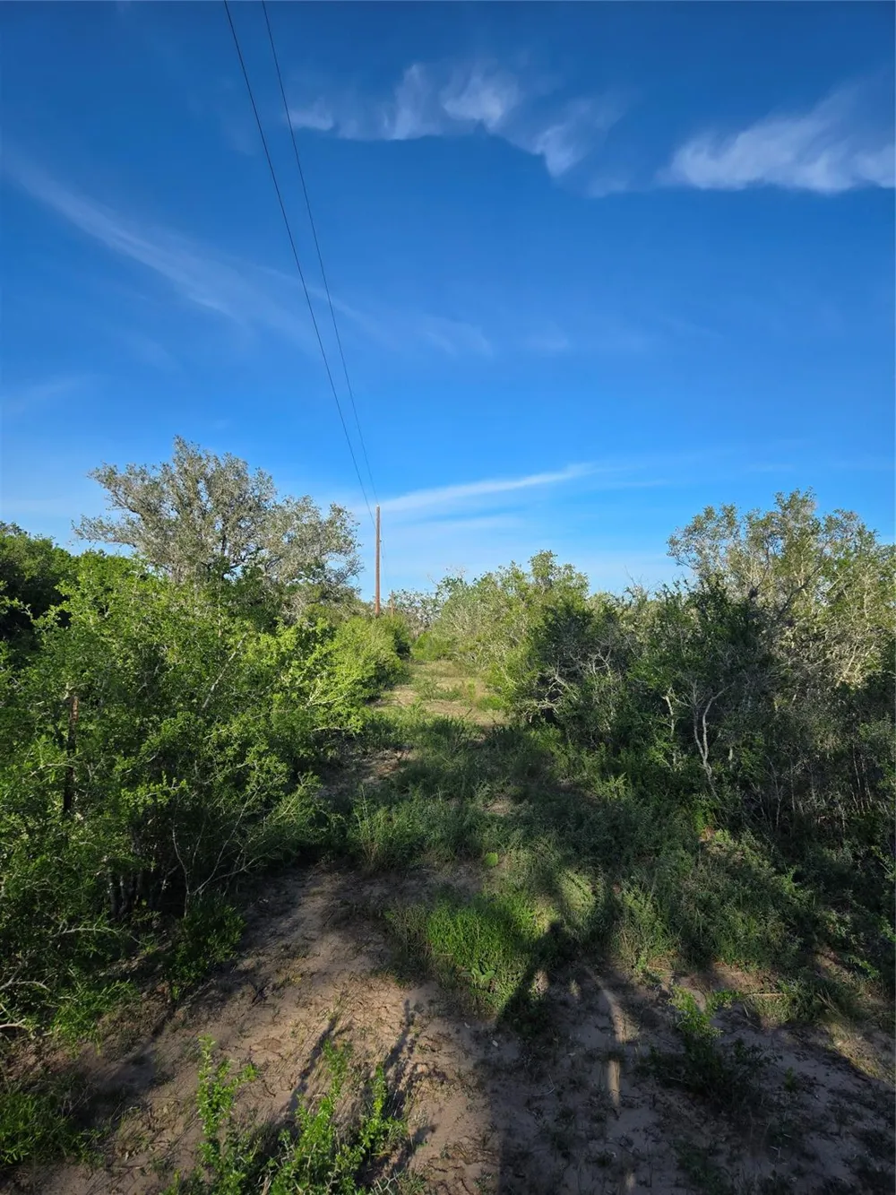 6104 Lucas Road Goliad, TX 77963