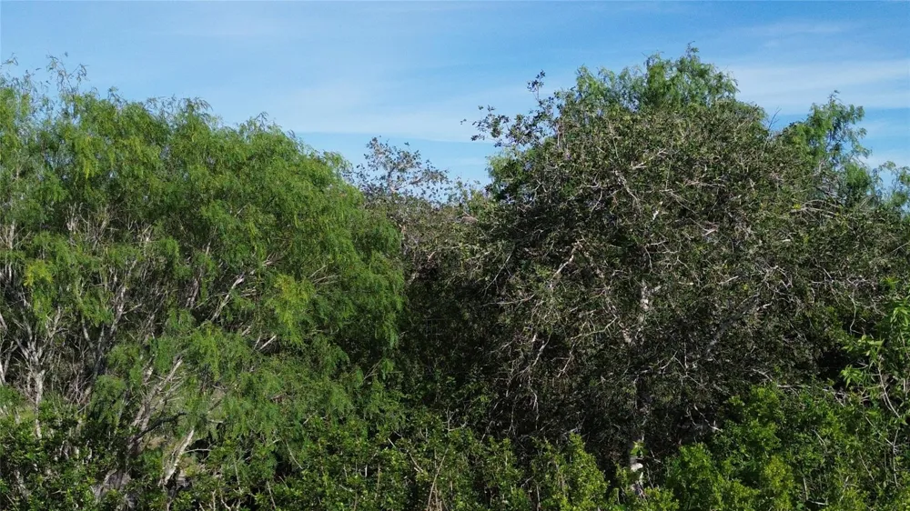 6104 Lucas Road Goliad, TX 77963