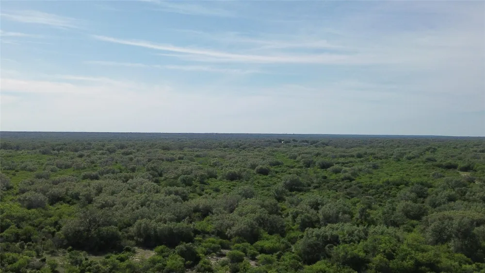 6104 Lucas Road Goliad, TX 77963