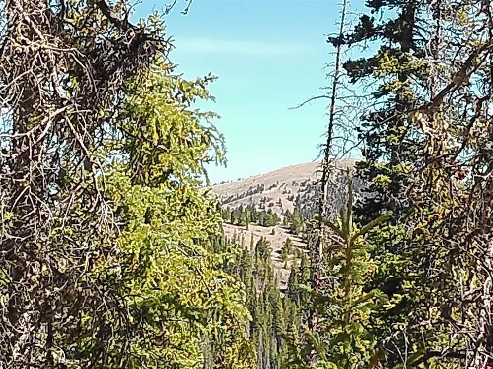 known address Road Fort  Garland, CO 81133