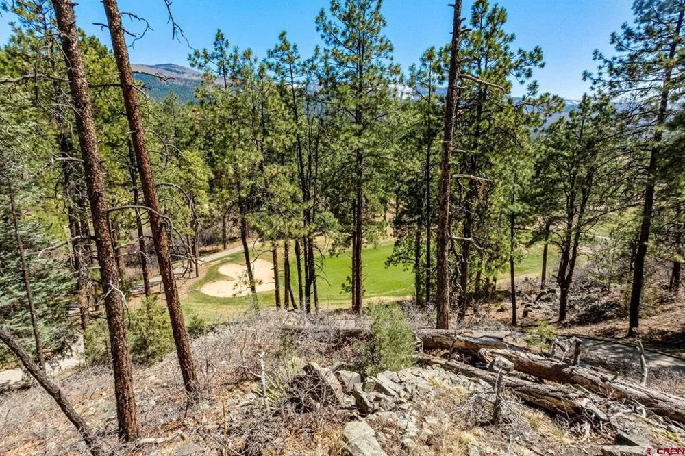 91 Ambush Canyon Durango, CO 81301
