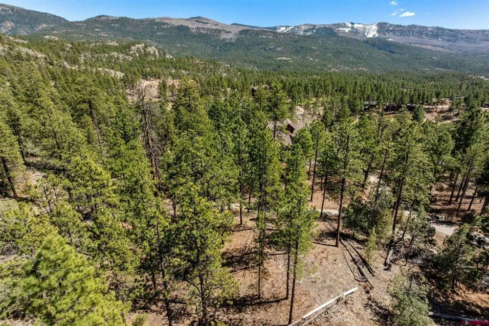 91 Ambush Canyon Durango, CO 81301
