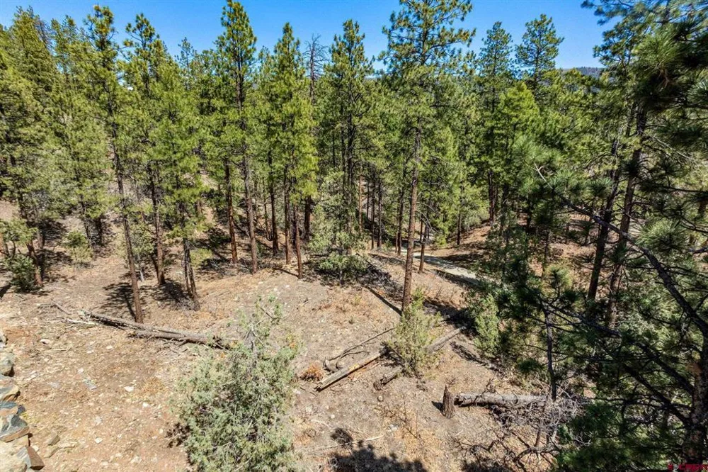 91 Ambush Canyon Durango, CO 81301