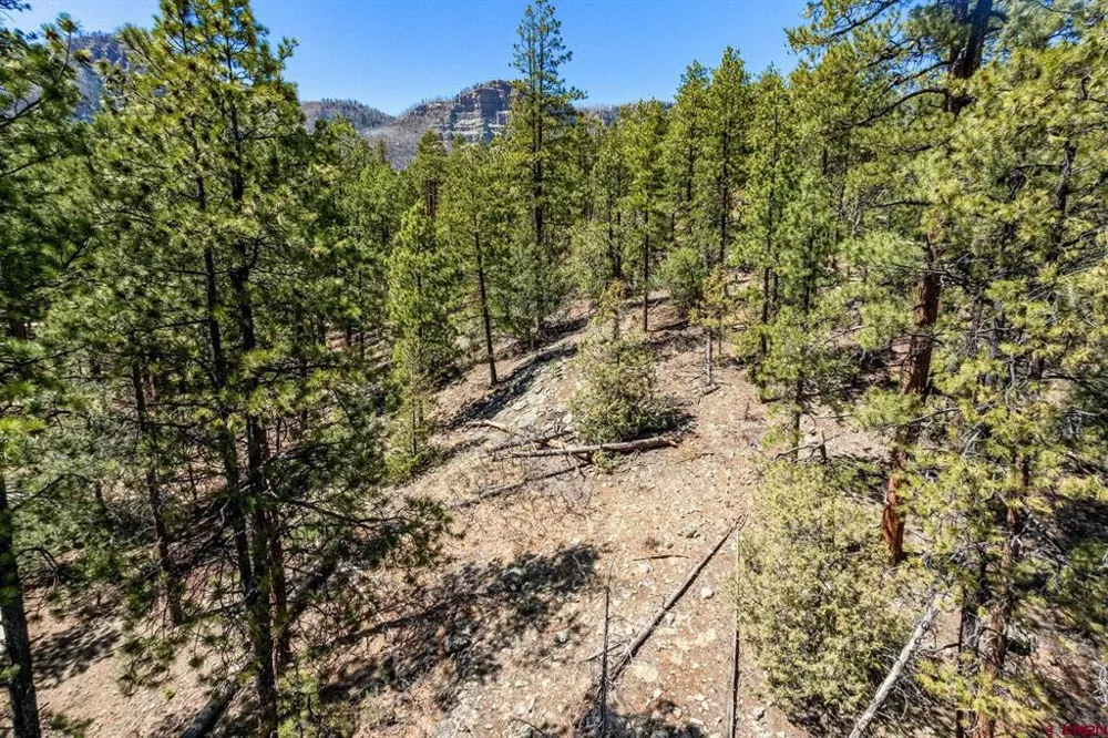 91 Ambush Canyon Durango, CO 81301