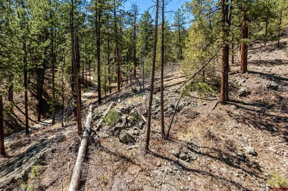 91 Ambush Canyon Durango, CO 81301