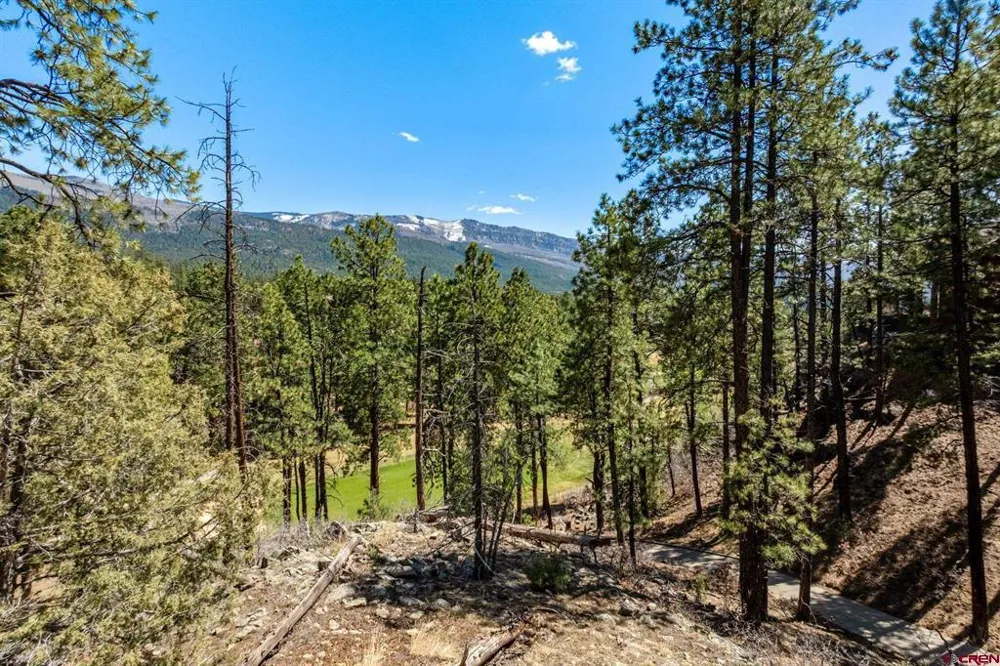 91 Ambush Canyon Durango, CO 81301