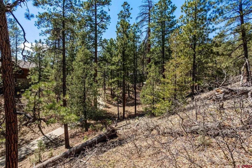 91 Ambush Canyon Durango, CO 81301
