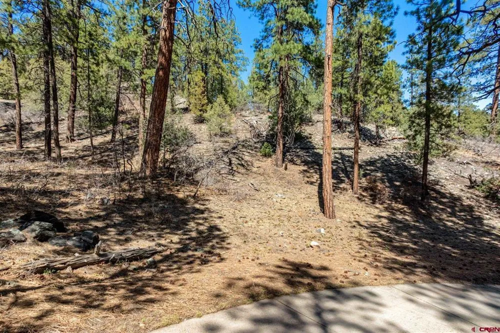 91 Ambush Canyon Durango, CO 81301