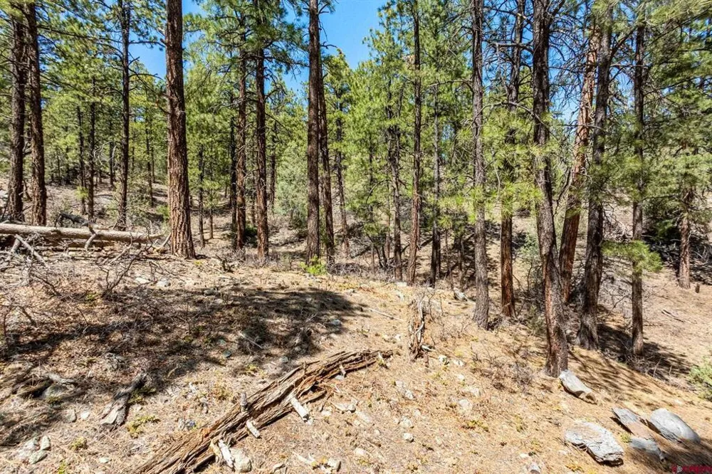 91 Ambush Canyon Durango, CO 81301