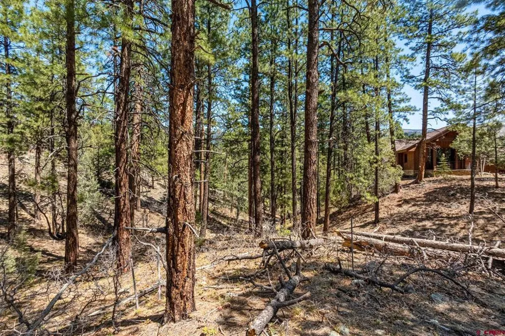 91 Ambush Canyon Durango, CO 81301
