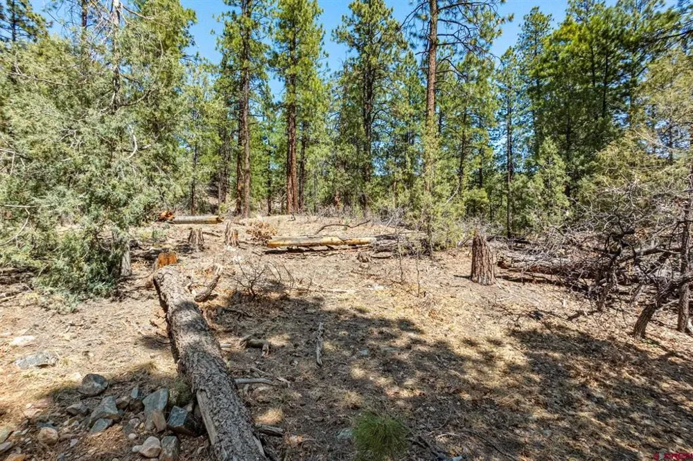 91 Ambush Canyon Durango, CO 81301