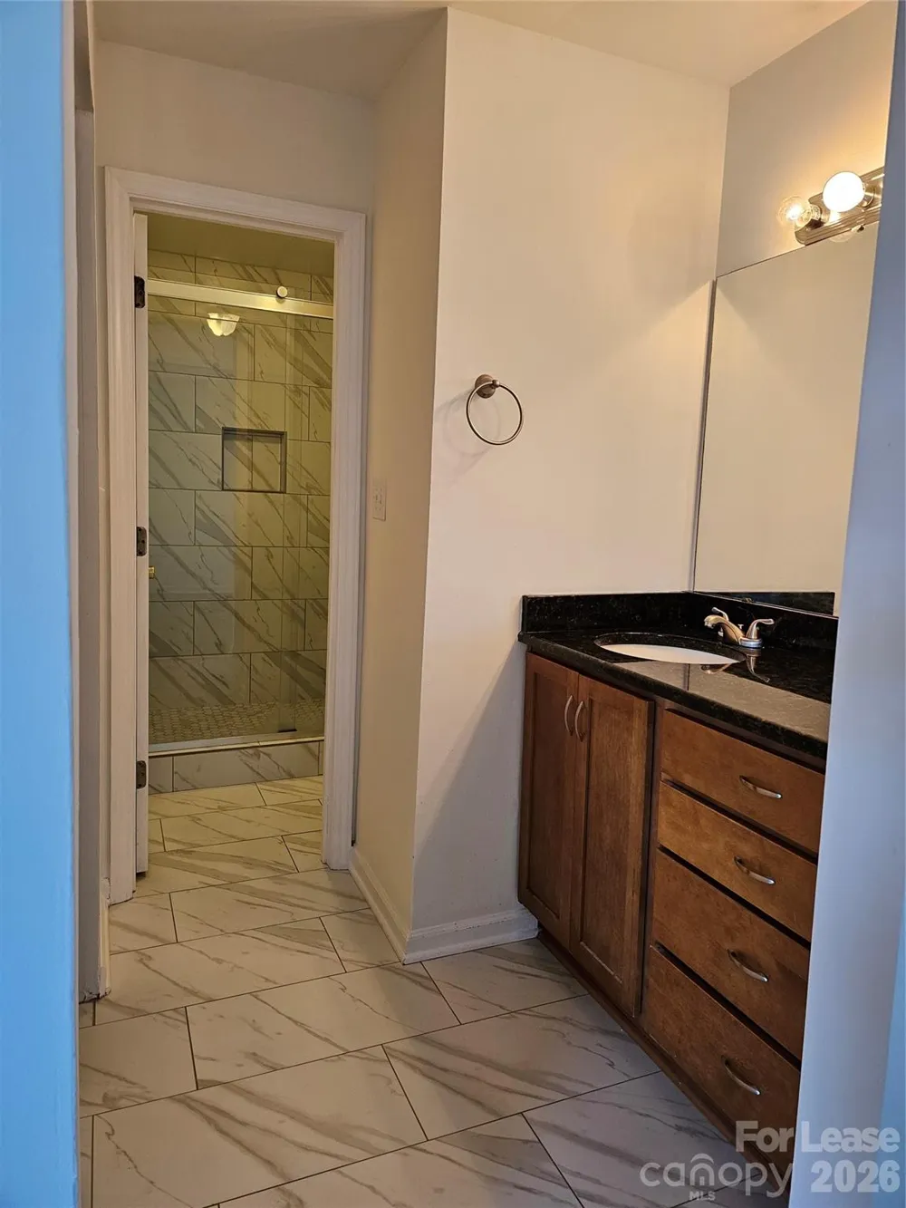 18629 Vineyard Point Lane Cornelius, NC 28031