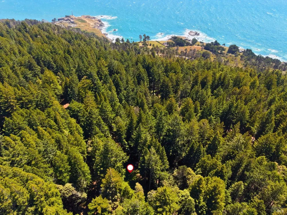 22051 Rust Drive Timber Cove, CA 95450