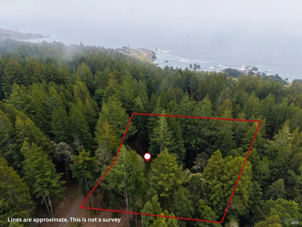 22051 Rust Drive Timber Cove, CA 95450