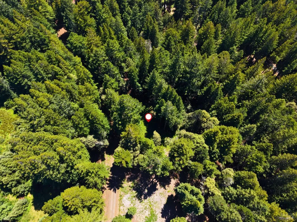 22051 Rust Drive Timber Cove, CA 95450