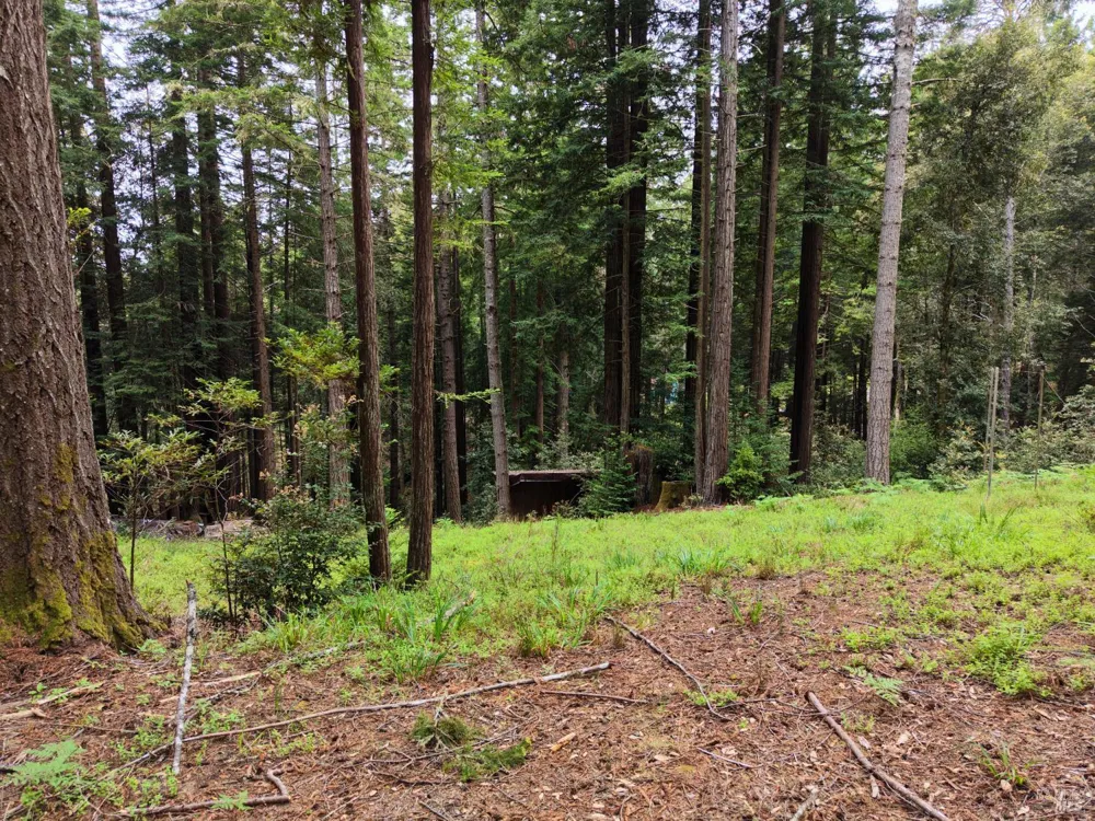 22051 Rust Drive Timber Cove, CA 95450