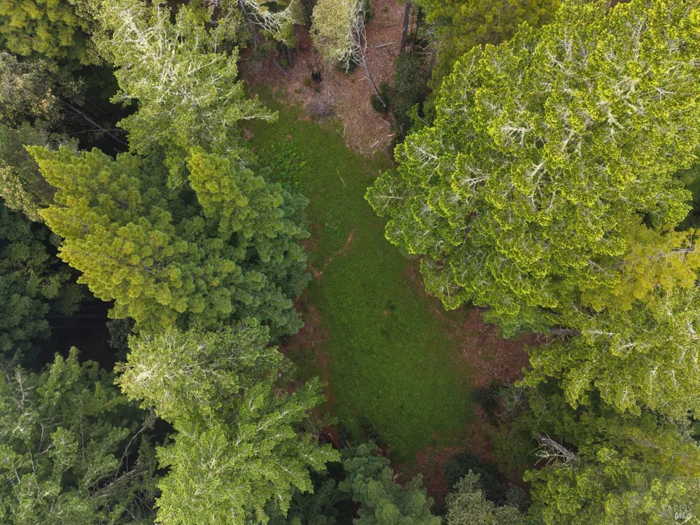 22051 Rust Drive Timber Cove, CA 95450