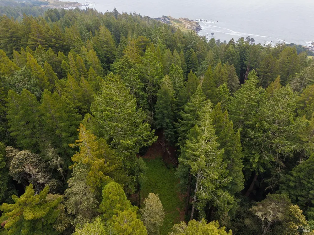 22051 Rust Drive Timber Cove, CA 95450