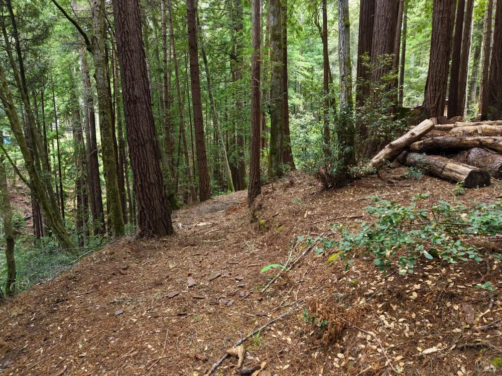 22051 Rust Drive Timber Cove, CA 95450