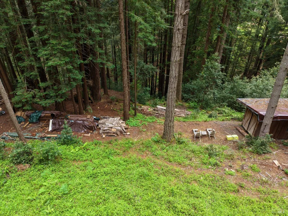 22051 Rust Drive Timber Cove, CA 95450
