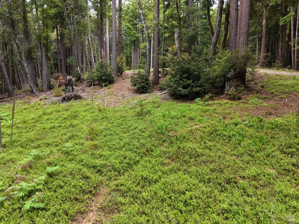 22051 Rust Drive Timber Cove, CA 95450