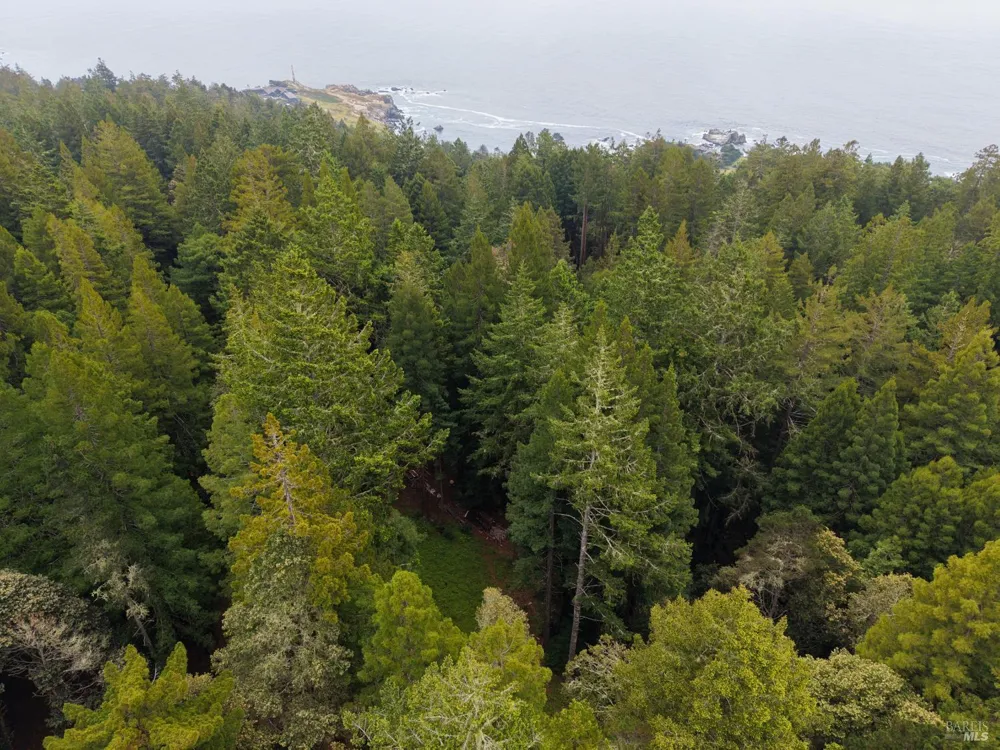 22051 Rust Drive Timber Cove, CA 95450