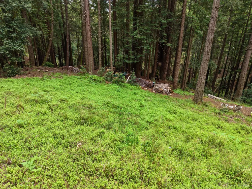 22051 Rust Drive Timber Cove, CA 95450