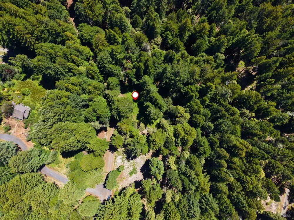 22051 Rust Drive Timber Cove, CA 95450