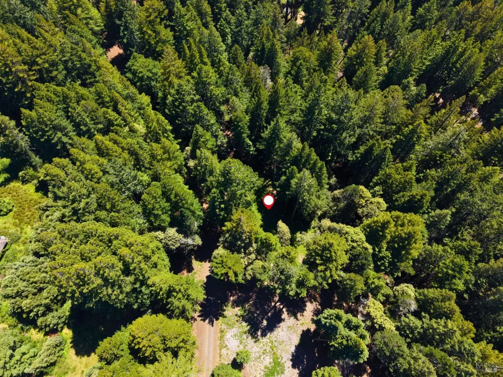 22051 Rust Drive Timber Cove, CA 95450