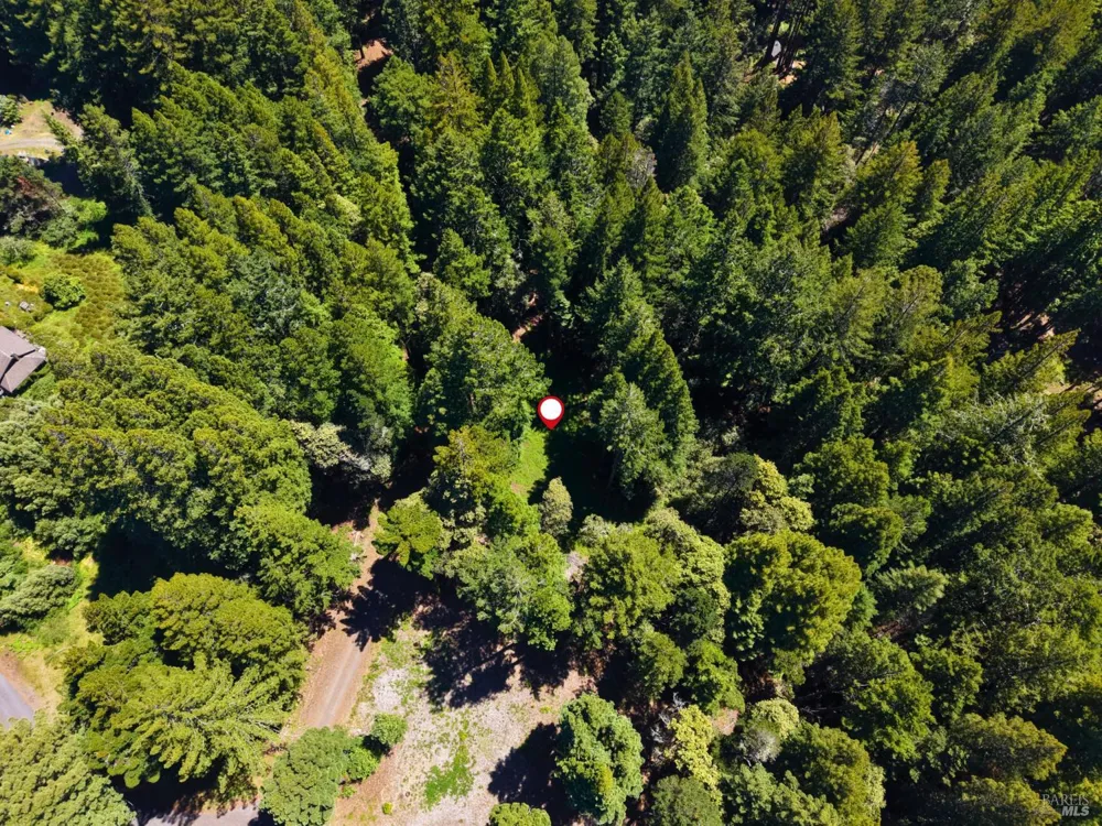 22051 Rust Drive Timber Cove, CA 95450