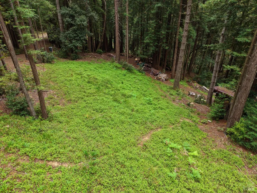 22051 Rust Drive Timber Cove, CA 95450