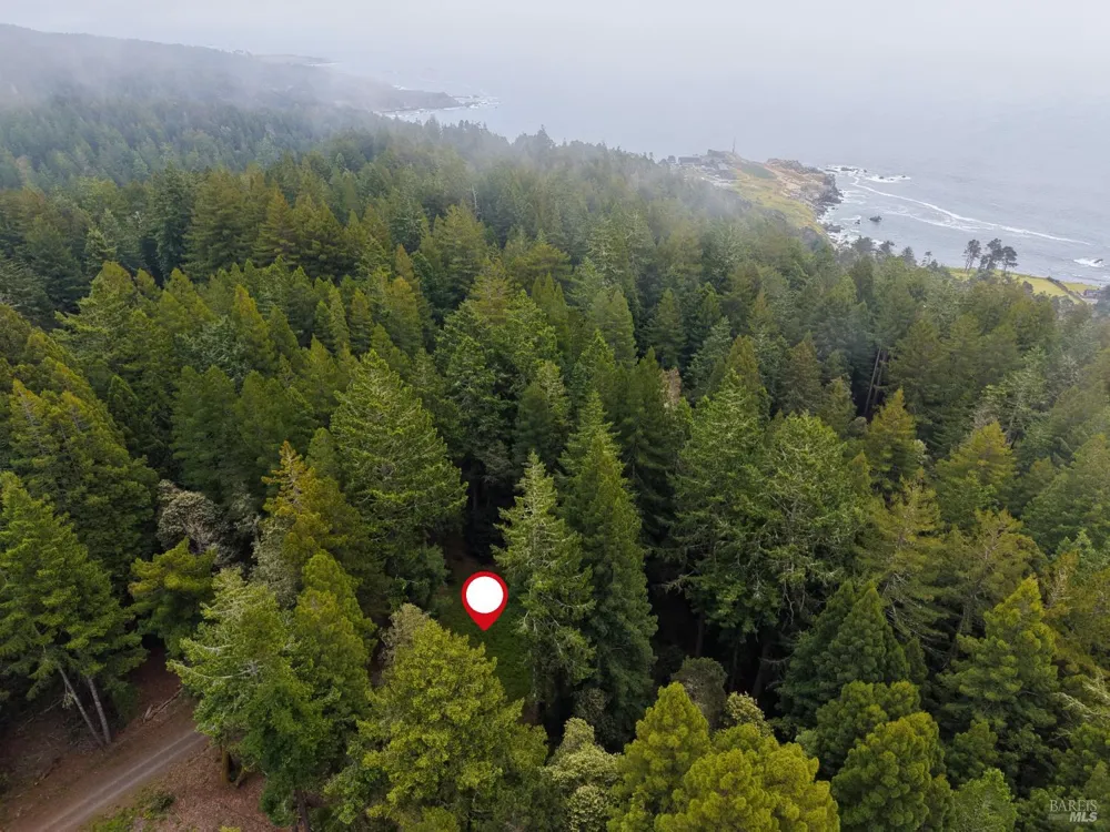 22051 Rust Drive Timber Cove, CA 95450