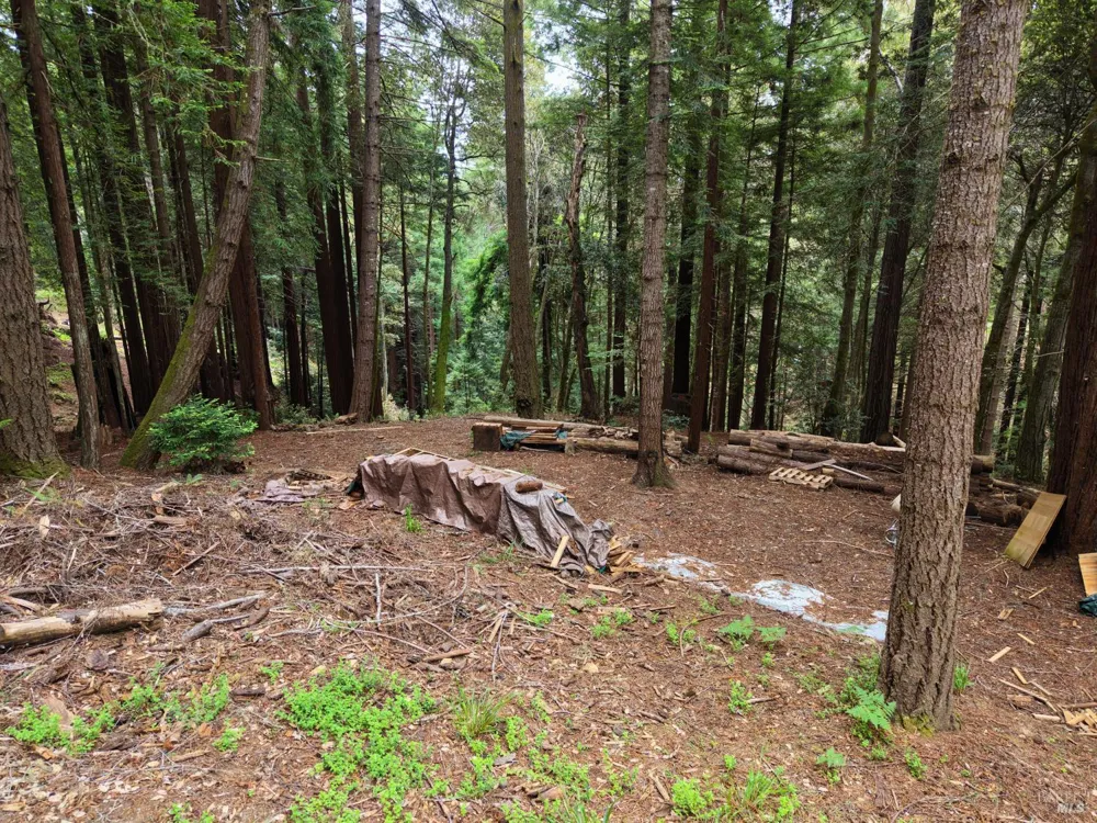 22051 Rust Drive Timber Cove, CA 95450