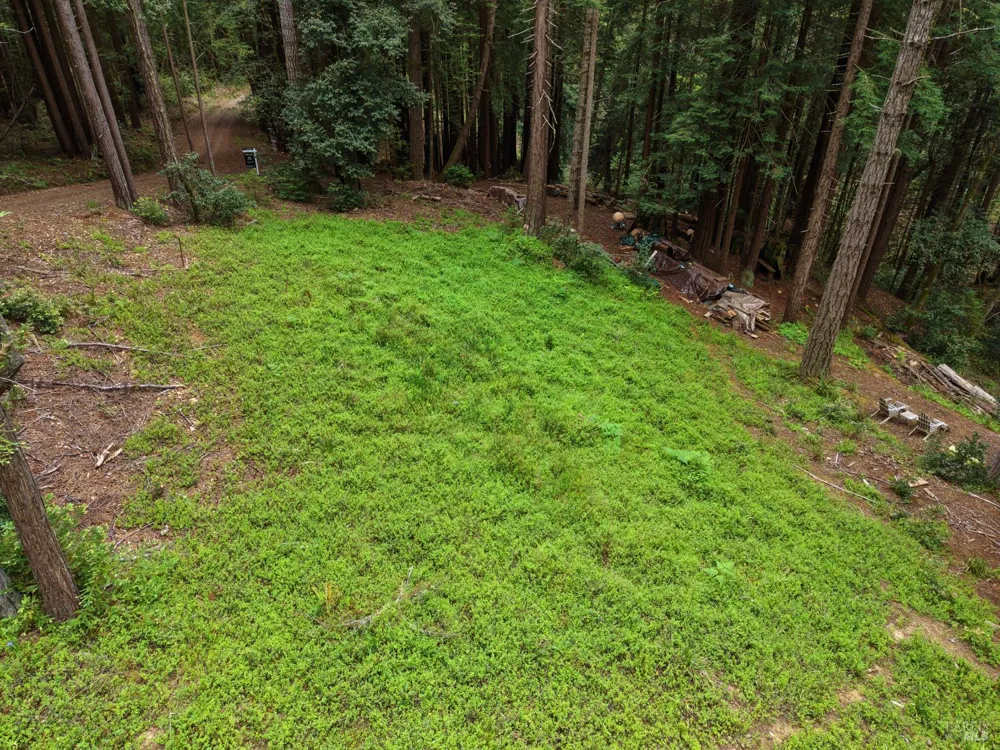 22051 Rust Drive Timber Cove, CA 95450