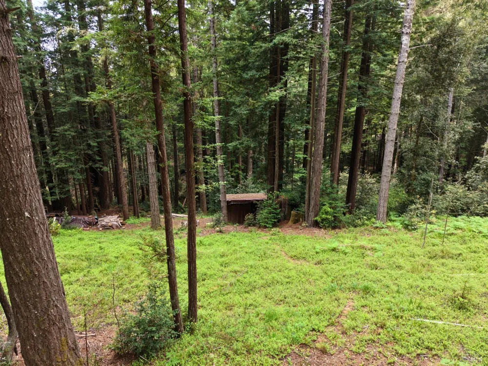 22051 Rust Drive Timber Cove, CA 95450