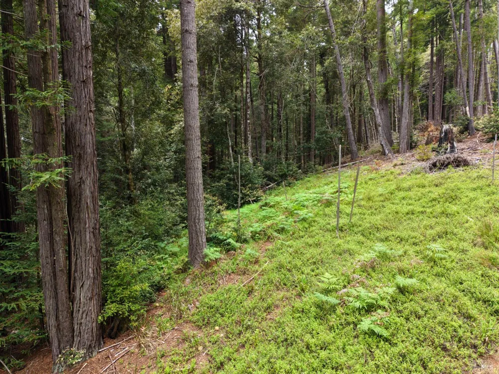22051 Rust Drive Timber Cove, CA 95450