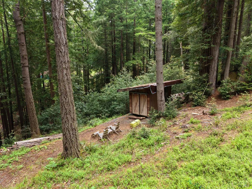 22051 Rust Drive Timber Cove, CA 95450