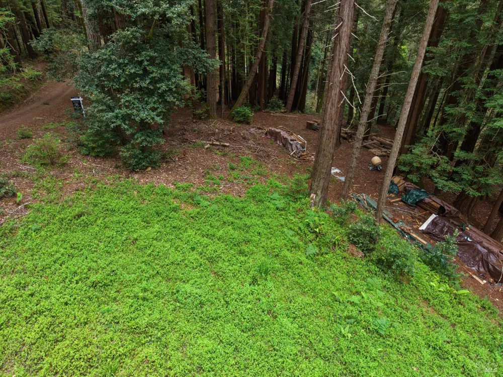 22051 Rust Drive Timber Cove, CA 95450