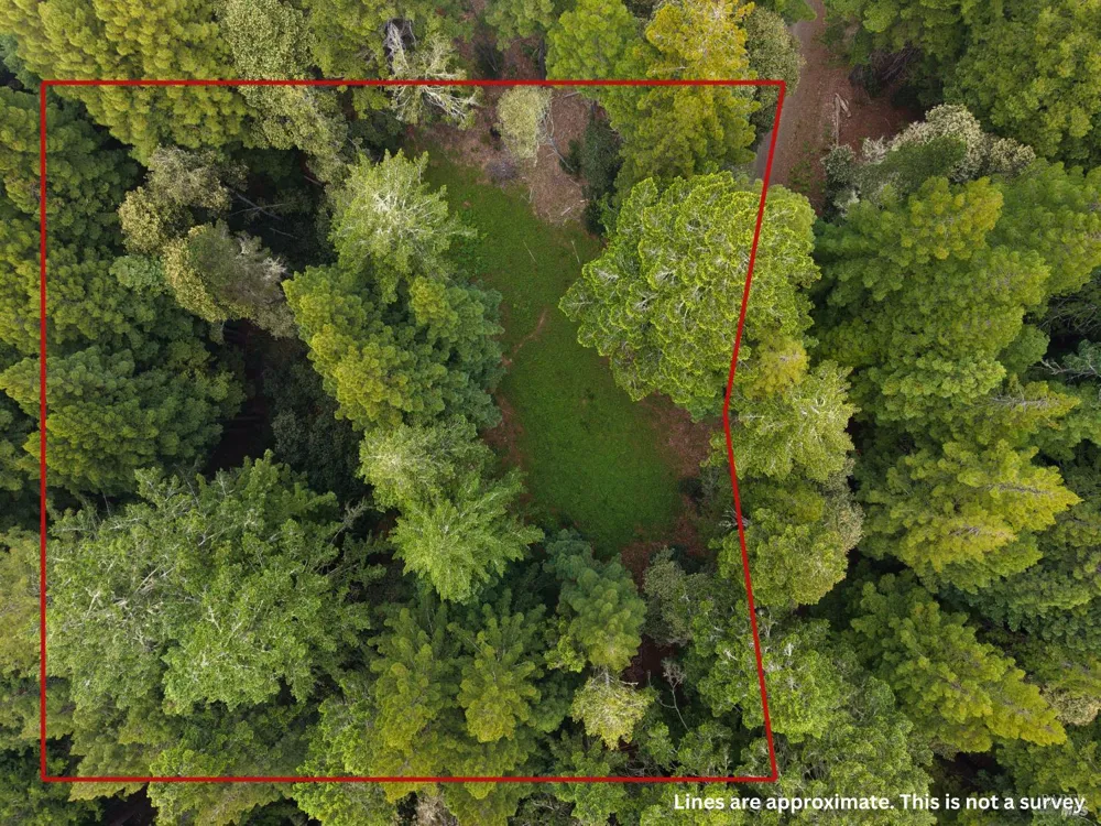 22051 Rust Drive Timber Cove, CA 95450